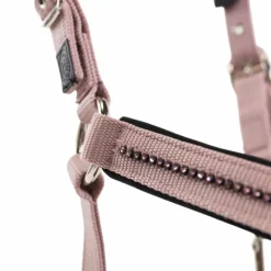 Licols Poneys|Ensembles Licols Et Longes*Harcour - Ensemble licol et longe Amour pivoine Rose