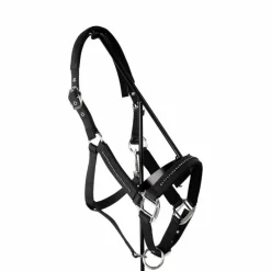 Licols Poneys|Ensembles Licols Et Longes*Harcour - Ensemble licol et longe Amour Noir