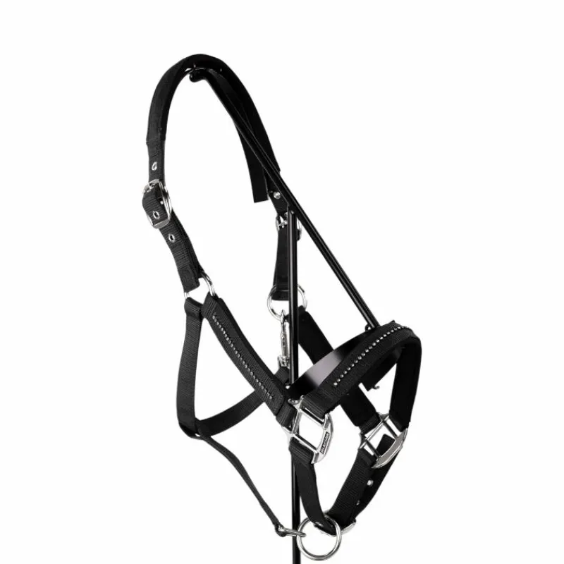 Licols Poneys|Ensembles Licols Et Longes*Harcour - Ensemble licol et longe Amour Noir