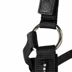 Licols Poneys|Ensembles Licols Et Longes*Harcour - Ensemble licol et longe Amour Noir