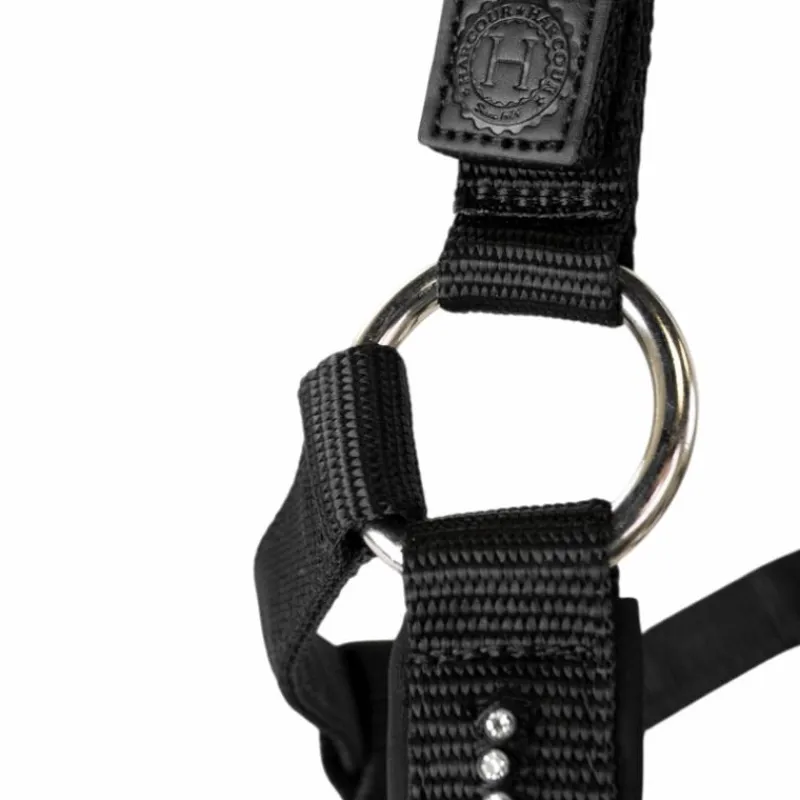 Licols Poneys|Ensembles Licols Et Longes*Harcour - Ensemble licol et longe Amour Noir