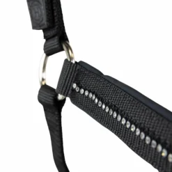 Licols Poneys|Ensembles Licols Et Longes*Harcour - Ensemble licol et longe Amour Noir