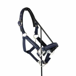 Licols Poneys|Ensembles Licols Et Longes*Harcour - Ensemble licol et longe Amour Marine