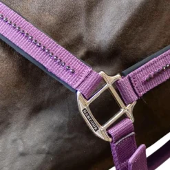 Licols Poneys|Ensembles Licols Et Longes*Harcour - Ensemble licol et longe Amour figue Violet