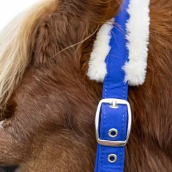 Clearance - Licol et longe Teschic électrique Ensembles Licols Et Longes