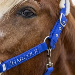 Clearance - Licol et longe Teschic électrique Ensembles Licols Et Longes