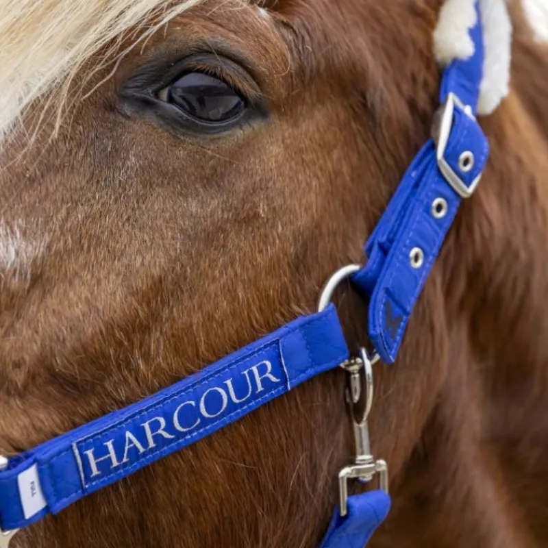 Clearance - Licol et longe Teschic électrique Ensembles Licols Et Longes