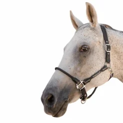 Licols Poneys*Harcour - Licol pour chevaux Honey Noir