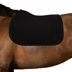 Tapis De Selle Poneys|Tapis De Selle*Harcour - Tapis de selle Saphir Noir