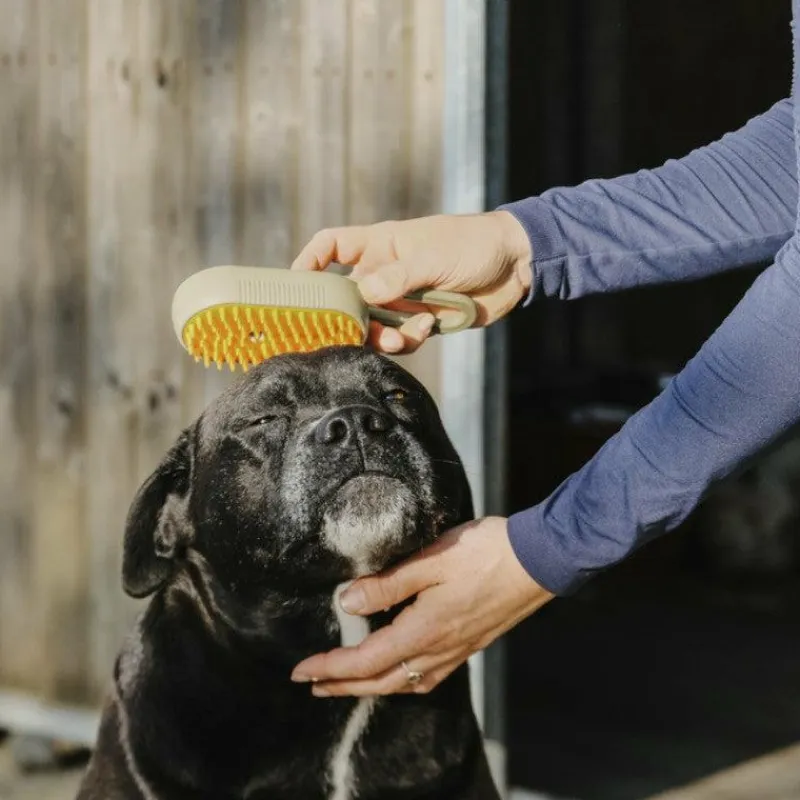 Outlet - Etrille à vapeur avec manche taupe Étrilles
