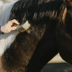 Outlet - Etrille à vapeur avec manche taupe Étrilles
