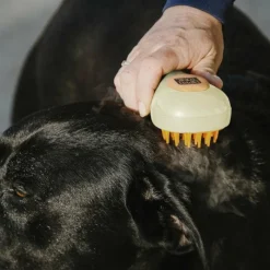 Best - Etrille à vapeur crème Étrilles