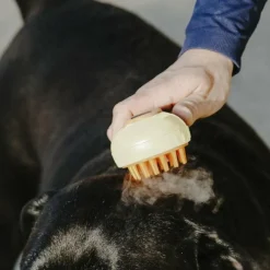 Best - Etrille à vapeur crème Étrilles