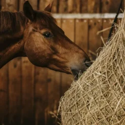 Best - Filet à foin naturel Filets Et Sacs À Foin