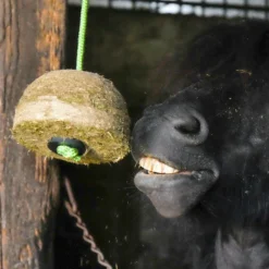 Jouets Pour Chevaux|Friandises Pour Chevaux*Hippotonic - Recharge bloc de foin pomme