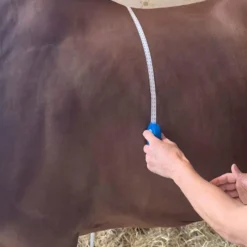 - Ruban de mesure zoométrique Rubans Zoométriques