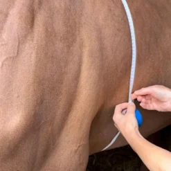 - Ruban de mesure zoométrique Rubans Zoométriques