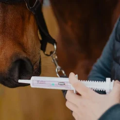 Hot - Complément alimentaire seringue concentré de L-Trytophane B-Kalm Anti-Stress