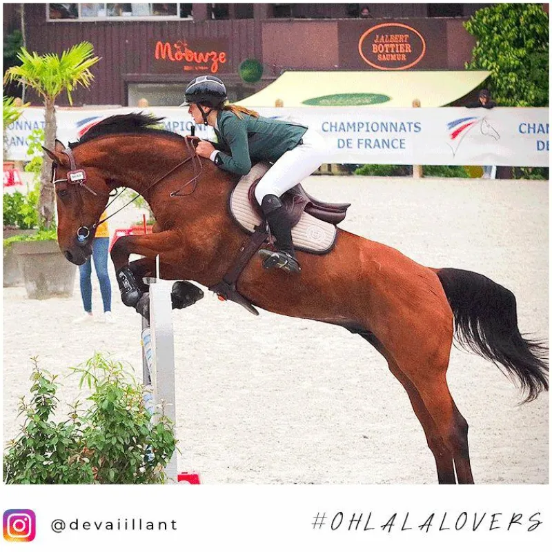 Bottes D'Équitation*Horse Pilot - Bottes d'équitation femme Teknit Boot Noir