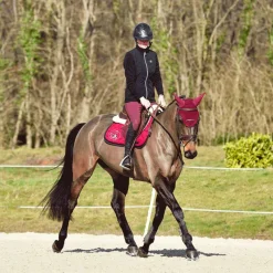 Online - Pantalon d'équitation femme X-Design Pantalons D'Équitation