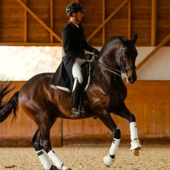 Vestes De Concours|Vestes De Concours*Horse Pilot - Veste de concours de dressage homme Long frac Noir