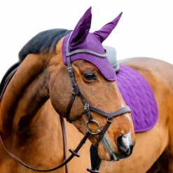 Clearance - Bonnet pour chevaux Amigo winterberry Bonnets Poneys|Bonnets Pour Chevaux