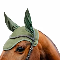 Clearance - Bonnet pour chevaux Amigo bramble Bonnets Poneys|Bonnets Pour Chevaux