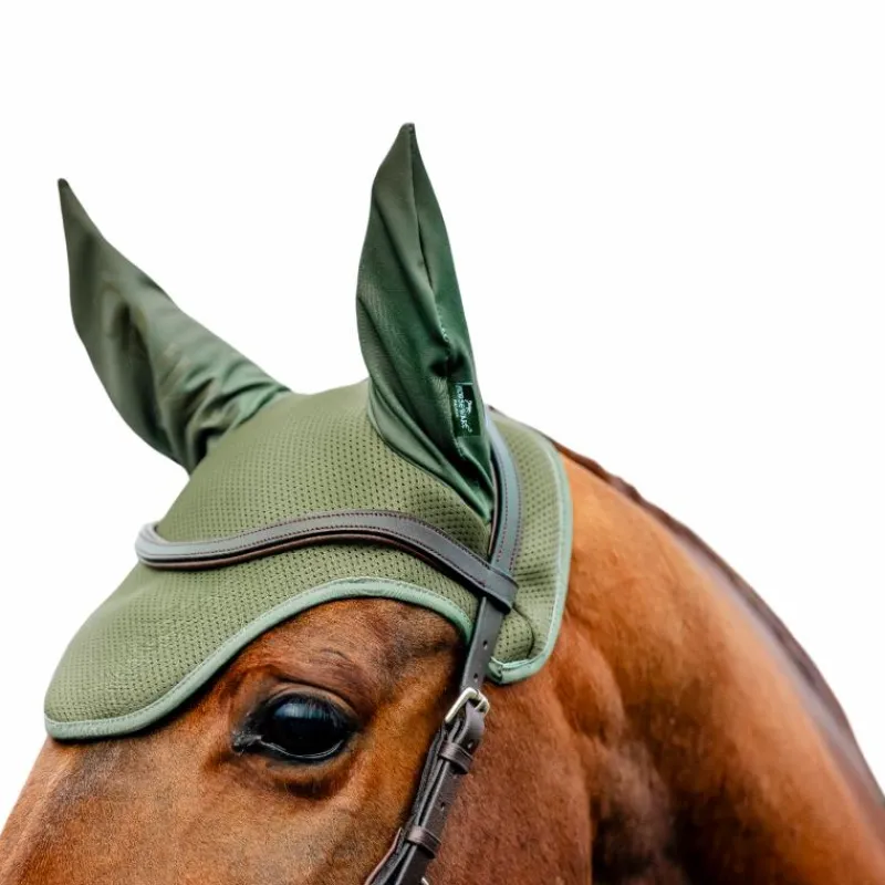Clearance - Bonnet pour chevaux Amigo bramble Bonnets Poneys|Bonnets Pour Chevaux