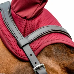 New - Bonnet pour chevaux Amigo mulberry Bonnets Poneys|Bonnets Pour Chevaux