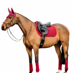 New - Bonnet pour chevaux Amigo mulberry Bonnets Poneys|Bonnets Pour Chevaux