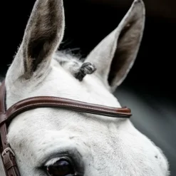 Bridons*Horseware - Bridon Cavesson Marron