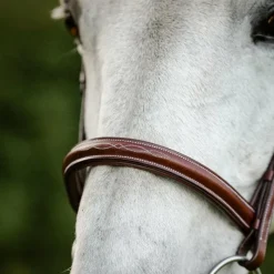 Discount - Bridon Cavesson Hunter avec rênes dark tan Bridons