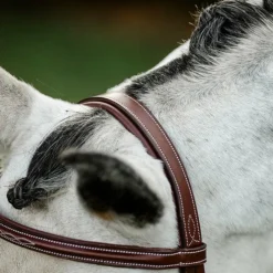 Discount - Bridon Cavesson Hunter avec rênes dark tan Bridons