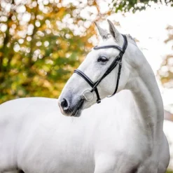 Best - Bridon Cavesson Bridons