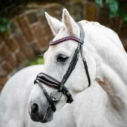 Bridons*Horseware - Bridon Diamante Pony Flash / rose Noir