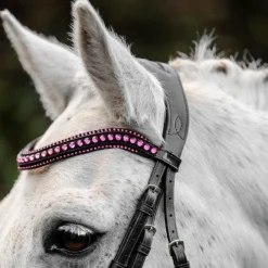 Bridons*Horseware - Bridon Diamante Pony Flash / rose Noir