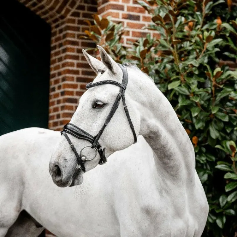 Bridons*Horseware - Bridon Diamante Flash / Noir