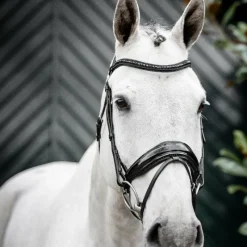 Bridons*Horseware - Bridon Diamante Flash / Noir