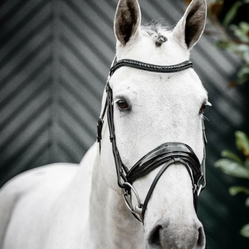Bridons*Horseware - Bridon Diamante Flash / Noir