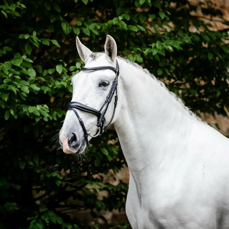 Bridons*Horseware - Bridon Dressage Flash Noir