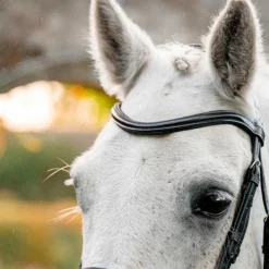 Best - Bridon Dressage Pony Flash Bridons