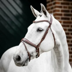 Clearance - Bridon Dressage Flash Bridons