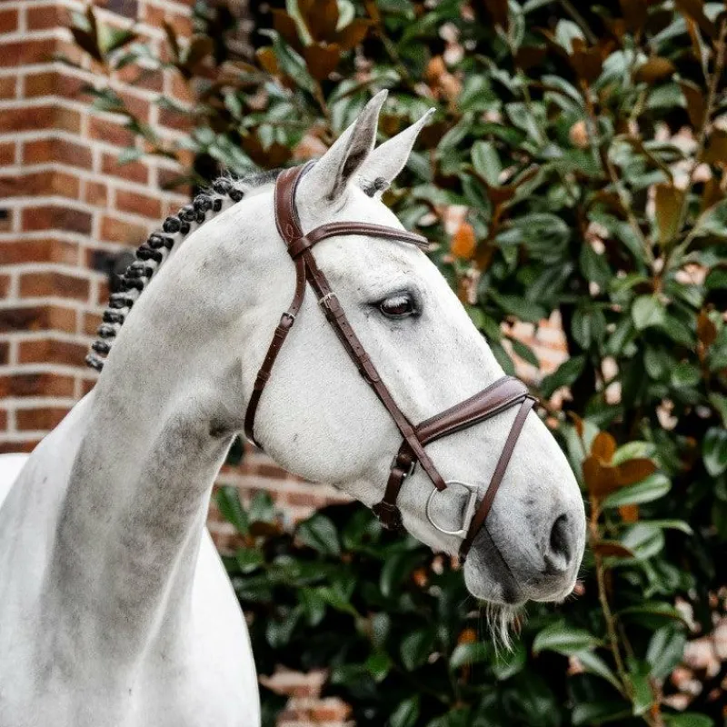 Clearance - Bridon Dressage Flash Bridons