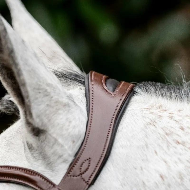 Clearance - Bridon Dressage Flash Bridons