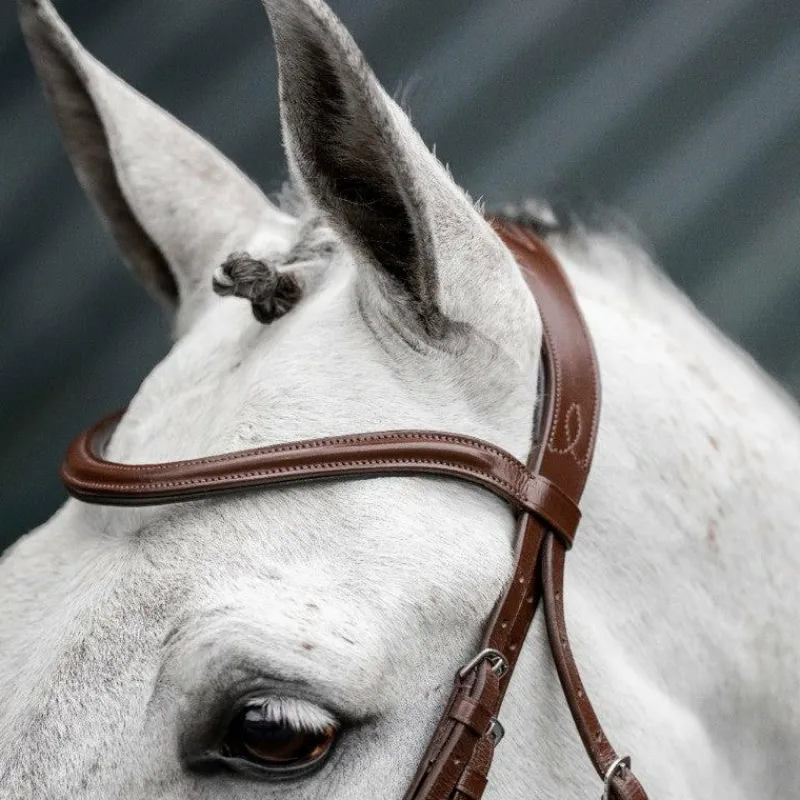 Clearance - Bridon Dressage Flash Bridons