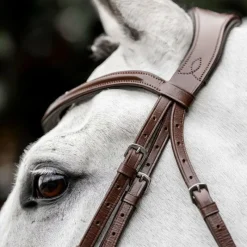 Clearance - Bridon Dressage Flash Bridons