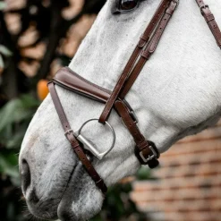 Clearance - Bridon Dressage Flash Bridons