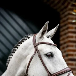 Clearance - Bridon Dressage Flash Bridons