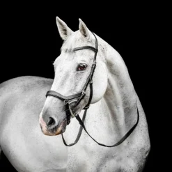 New - Bridon Micklem Competiton Bridons