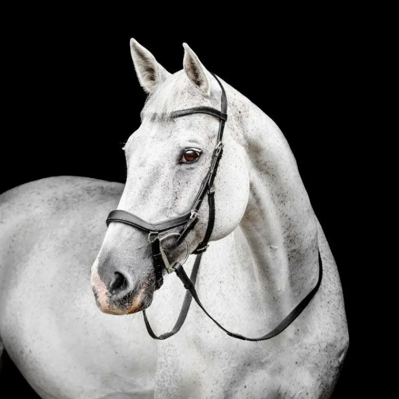 New - Bridon Micklem Competiton Bridons